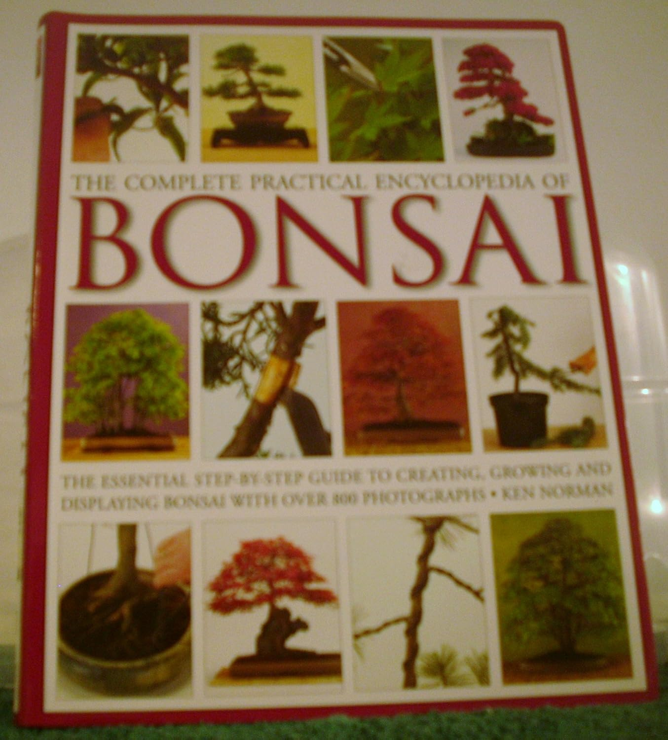 The Complete Practical Encyclopedia of Bonsai by Ken Norman; Photographer-Neil Sutherland (2005-08-01) image number 2