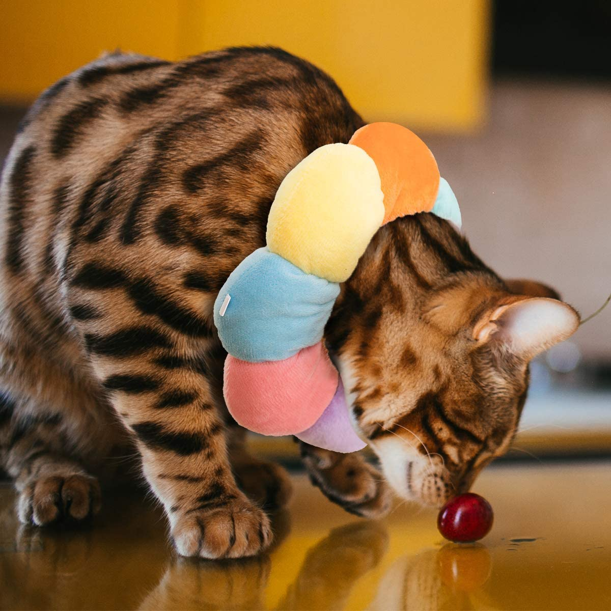 Weyeenacat Small Dog Recovery Collar, Cute Neck Cone after Surgery, Adjustable Pet E Wound Healing Protective Surgery Elizabethan Collars for (Xs(Within 2Lb), Colorful), S(Within 4Lb) image number 5