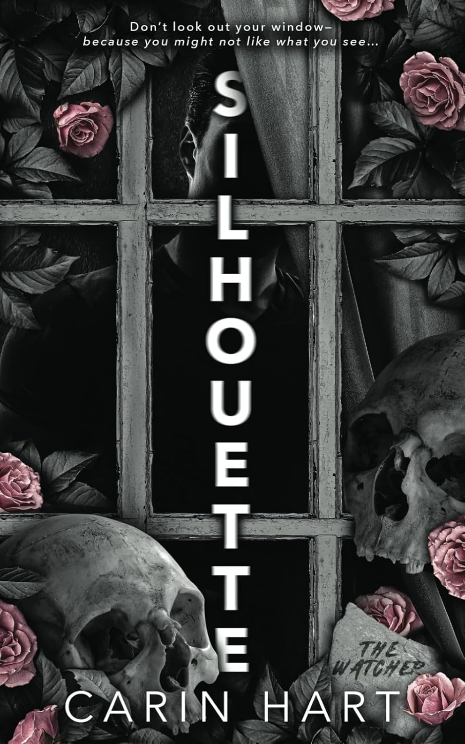 Silhouette: a Dark Stalker Romance