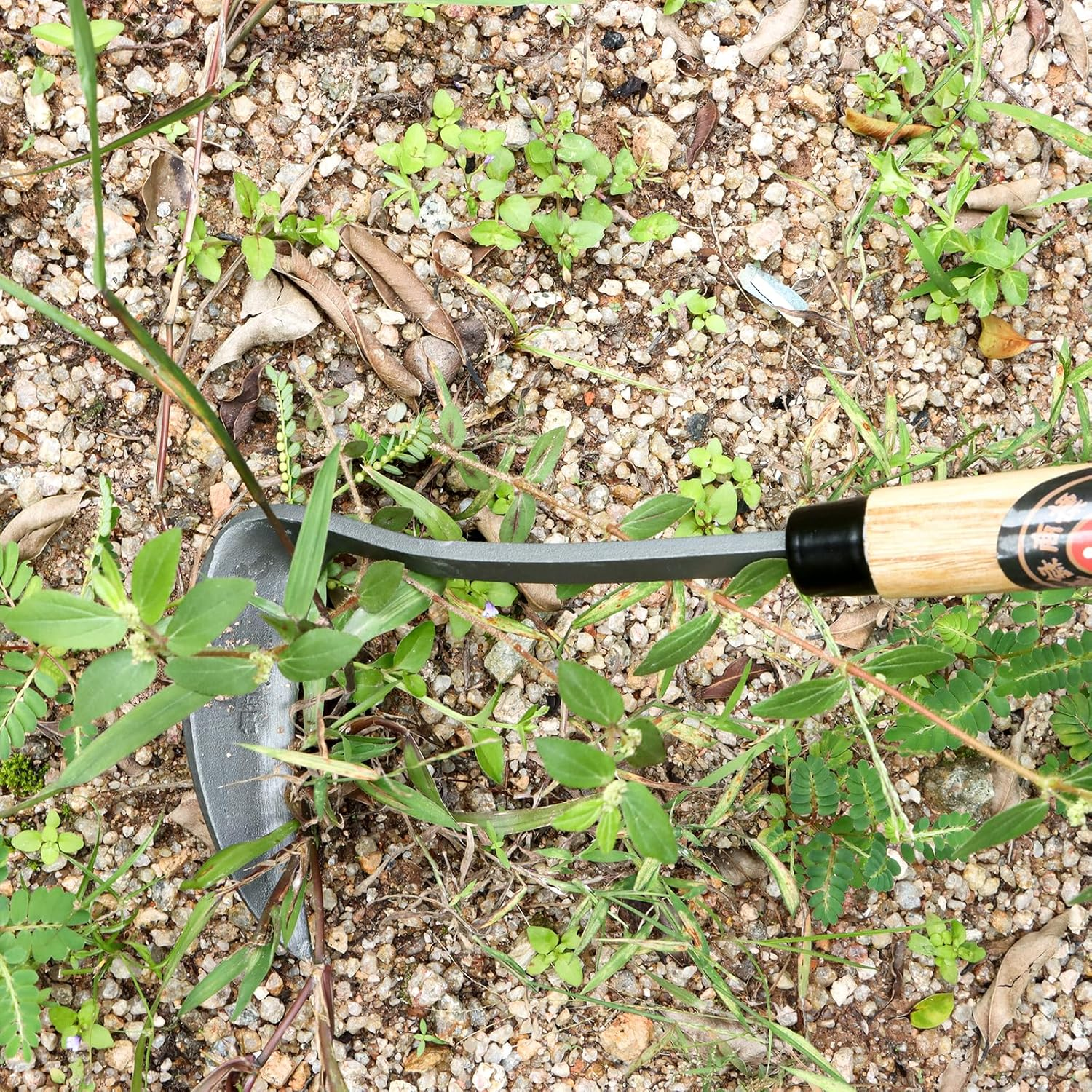 Kana Hoe 217 Japanese Garden Tool - Hand Hoe Is Perfect for Weeding and Cultivating,Solid Wood Handle for Garden Yard， Ideal for Easy Gardening