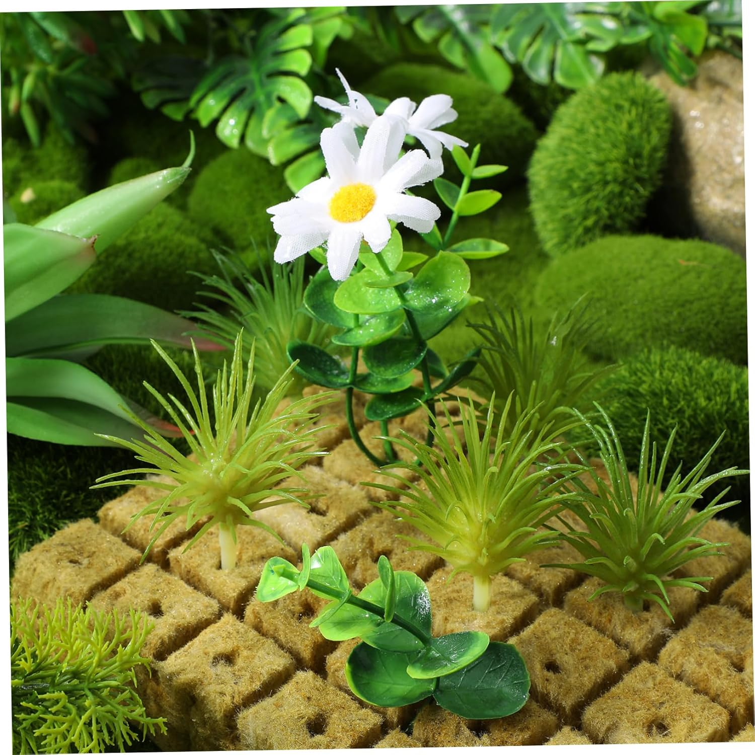 CANIGHT 100Pcs Hydroponic Grow Cubes Plugs for Indoor and Outdoor Gardening 25X25X30Mm Nutrient Blocks for Soilless Cultivation Compatible Hydroponic Systems