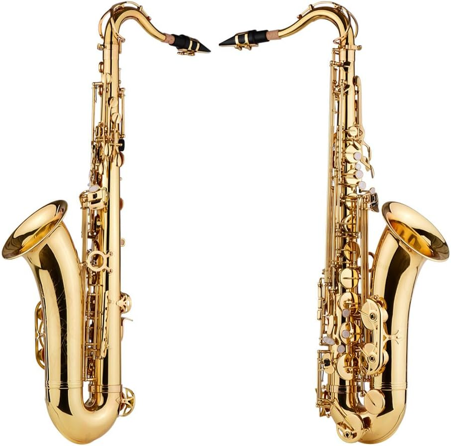 Tignapoo Bb Tenor Saxophone Sax Brass Body Gold Lacquered Surface Woodwind Instrument with Carry Case Gloves Cleaning Cloth Brush Sax Neck Straps image number 4