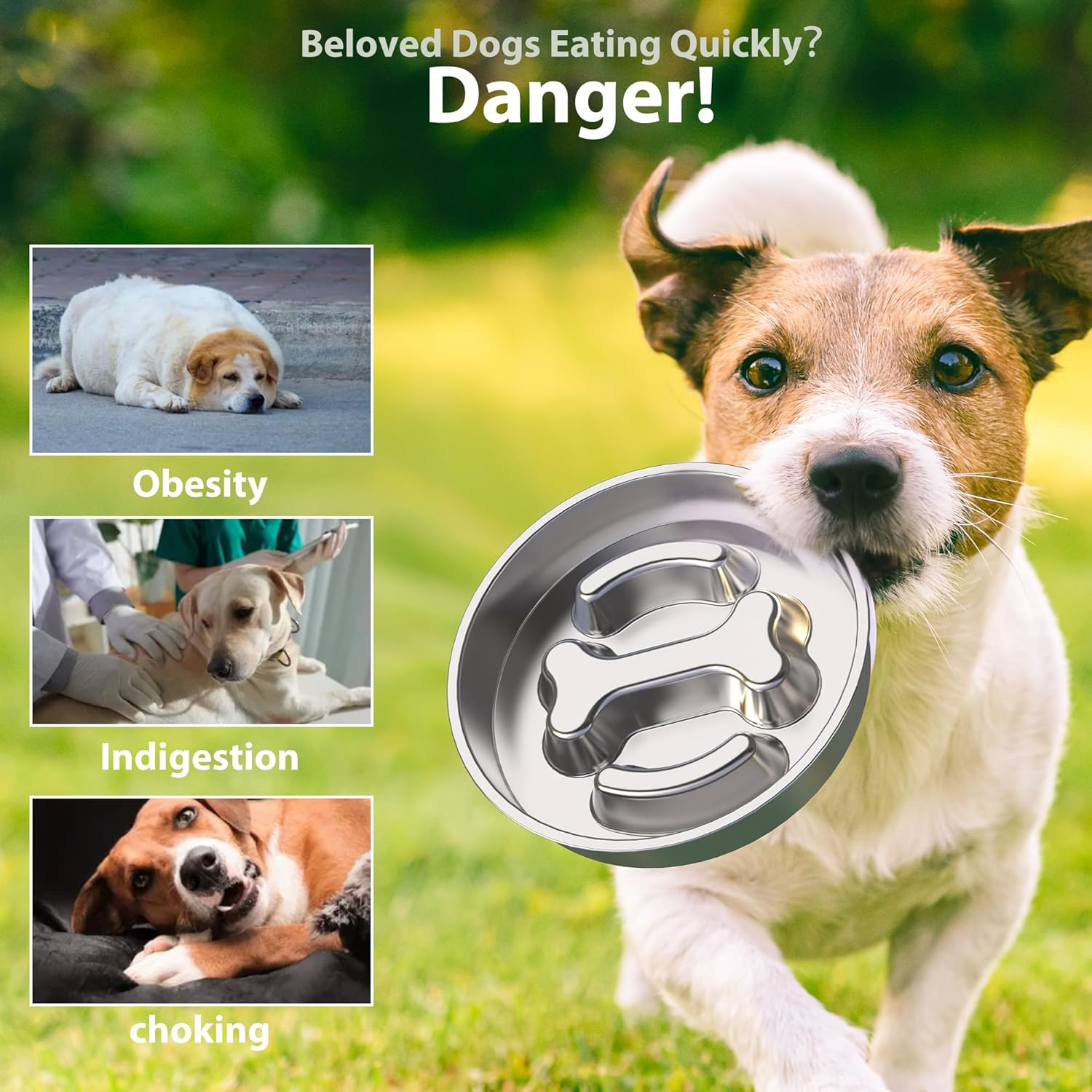 Slow Feeder Dog Bowls Kit Stainless Steel Non-Slip Dog Food Bowl for Small Medium Large Breeds 2~4 Cups Dog Slow Feeder Bowl for Fast Eaters Slows down Eating Dog Food Bowl&Dog Water Bowls 2Packs image number 5