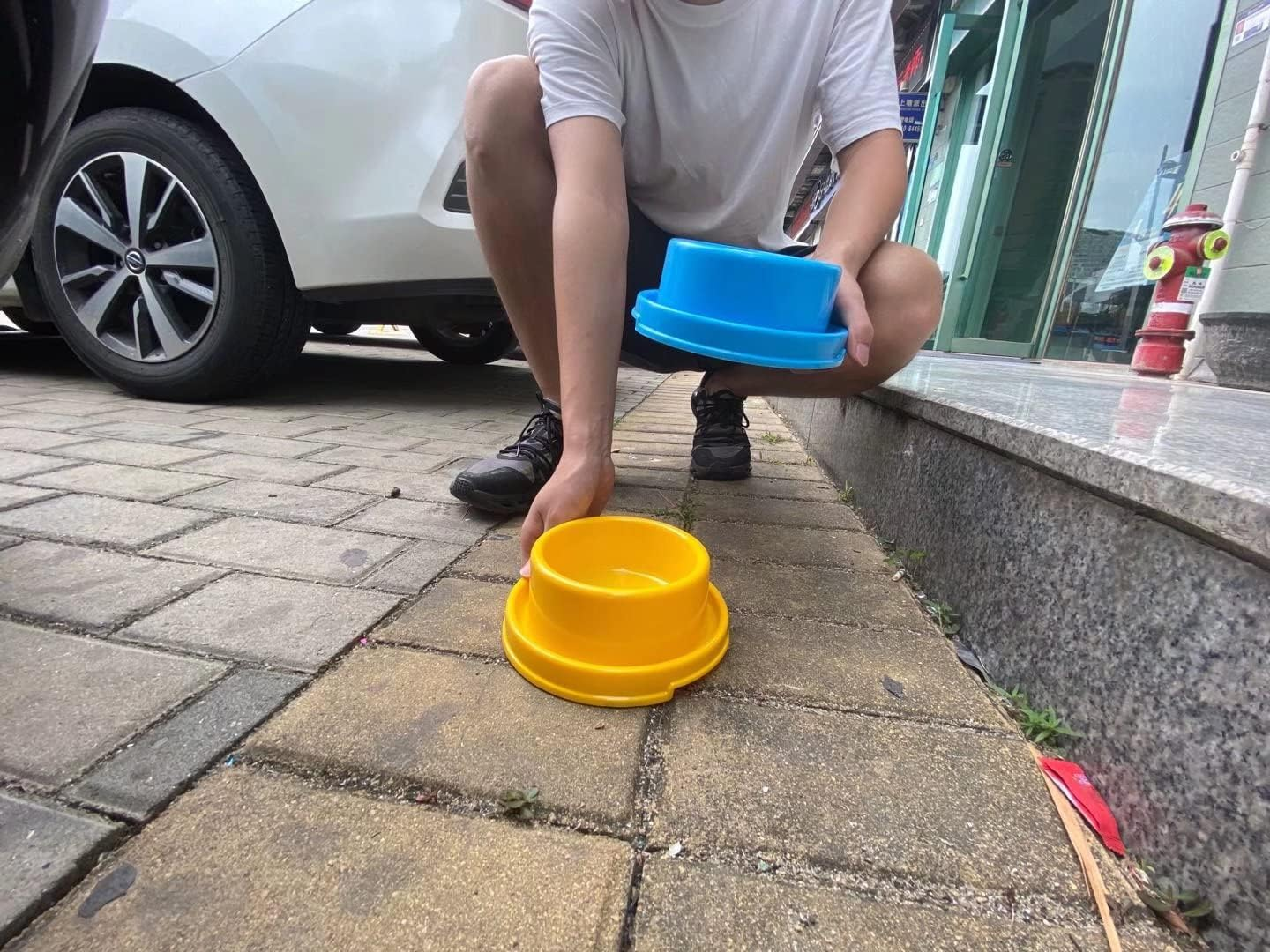 TEESUN Dog Bowl Raised Pet Food Bowls Cat Puppy Bowls round No Spill Colorful anti Ants Water Feeder Eating Bowl for Small Animals image number 4