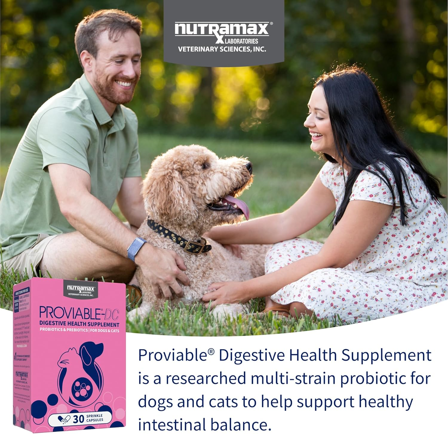 Nutramax Proviable DC Capsules for Cats and Dogs, 30 Count image number 6