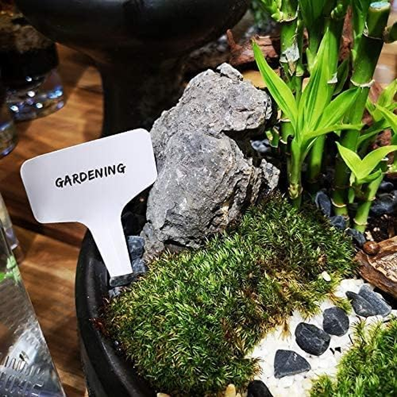 KINGLAKE 100 Pcs 6 X10Cm Plastic Plant T-Type Tags Nursery Garden Labels image number 5