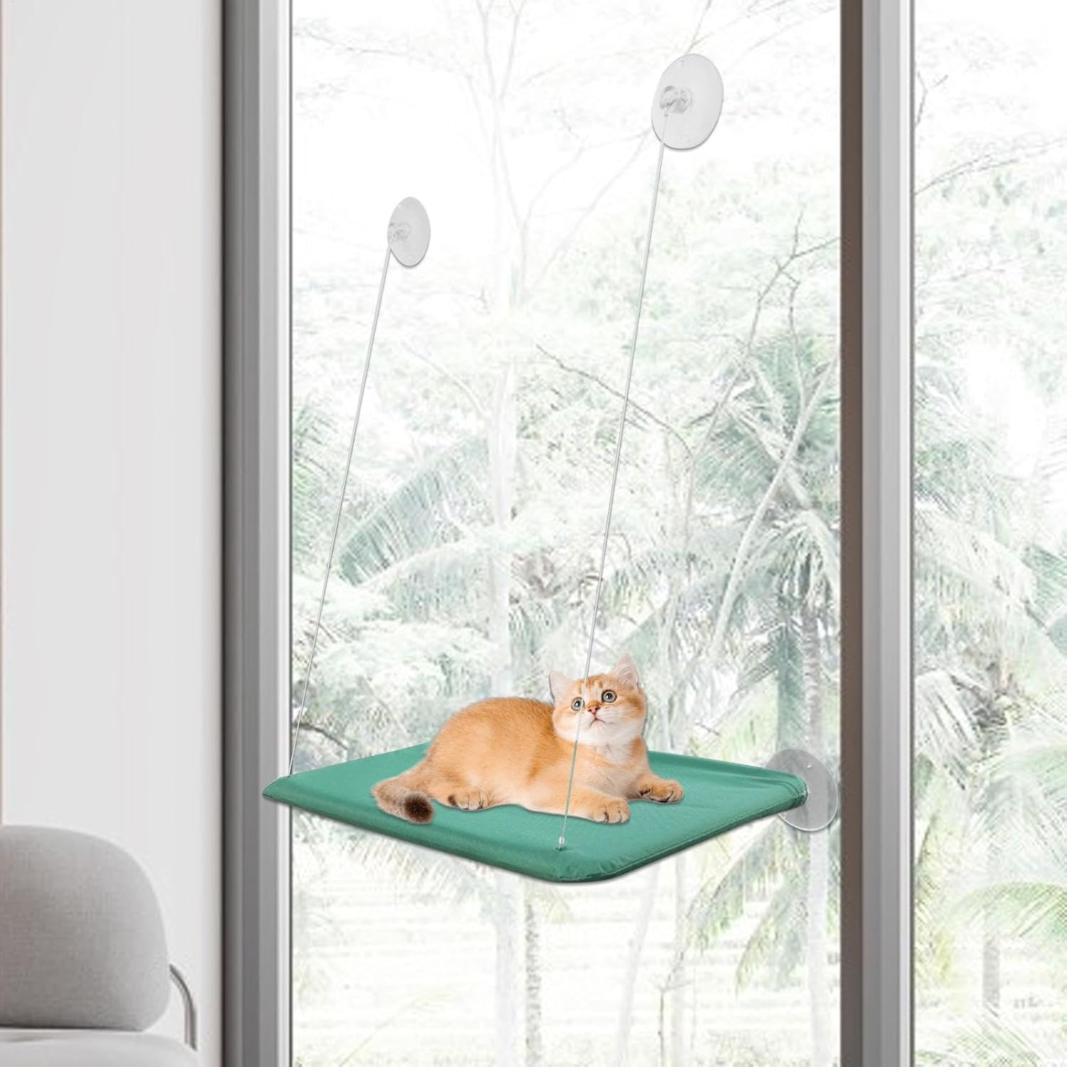 Cat Hammock | Cat Window Perch | Sunbathing Cat Bed Pet Bed | Comfortable Window Block Cat Seat for Pets inside Aid of Pets