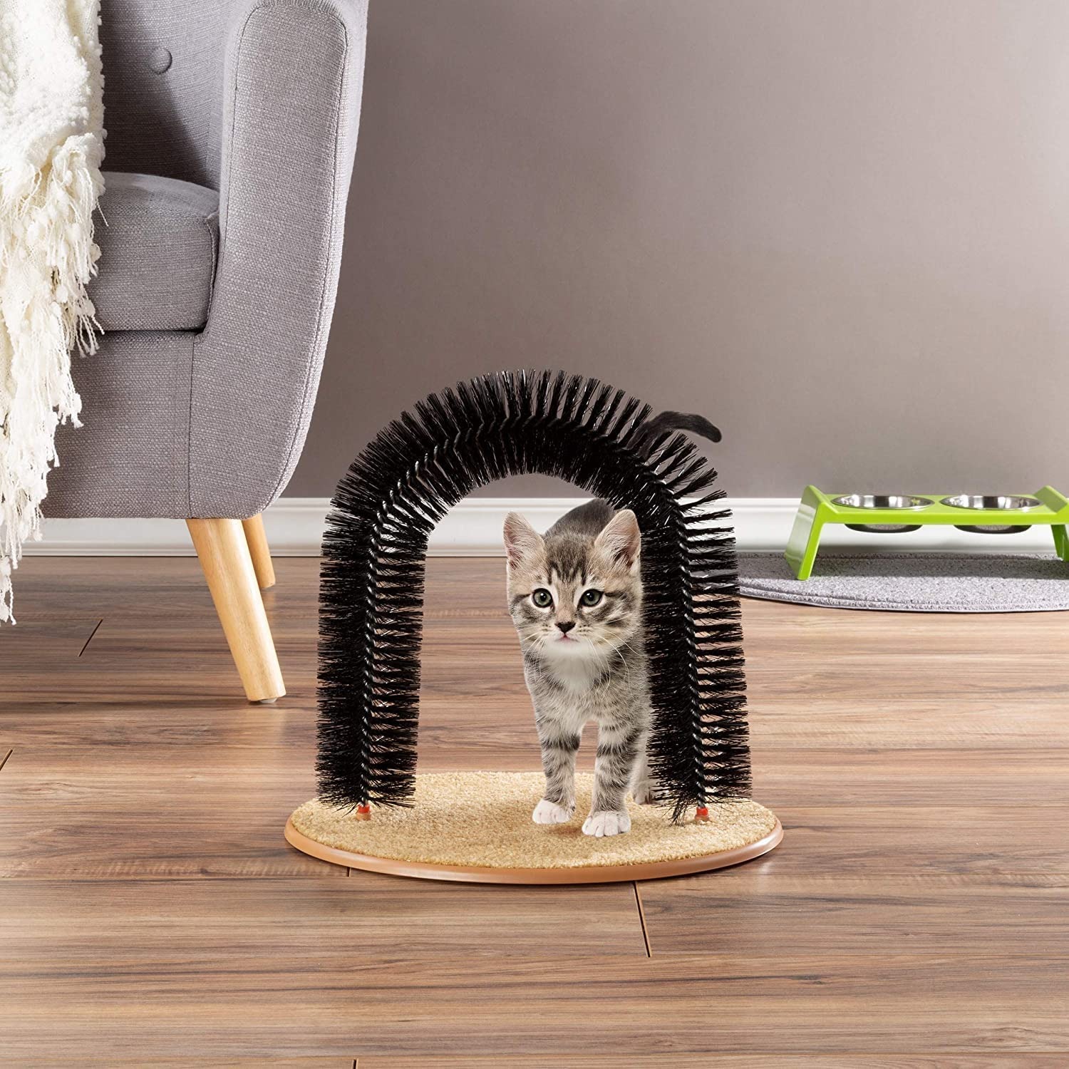 Self Grooming Cat Arch, Scratcher Toys, Brush for Grooming with Scratch Pad and Catnip, Brush for Shedding, Scratching Post, Interactive Toys