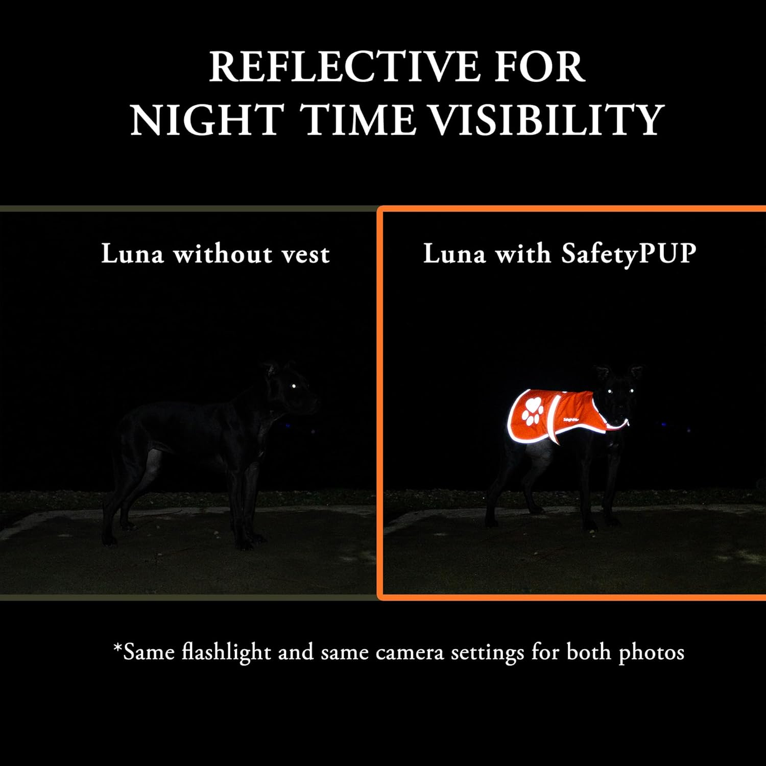 Safetypup XD Dog Reflective Vest. Sizes to Fit Dogs 14 Lbs to 130 Lbs. Blaze Orange Hi Vis Dog Vest Protects Dogs from Cars & Hunting Accidents. Medium Orange