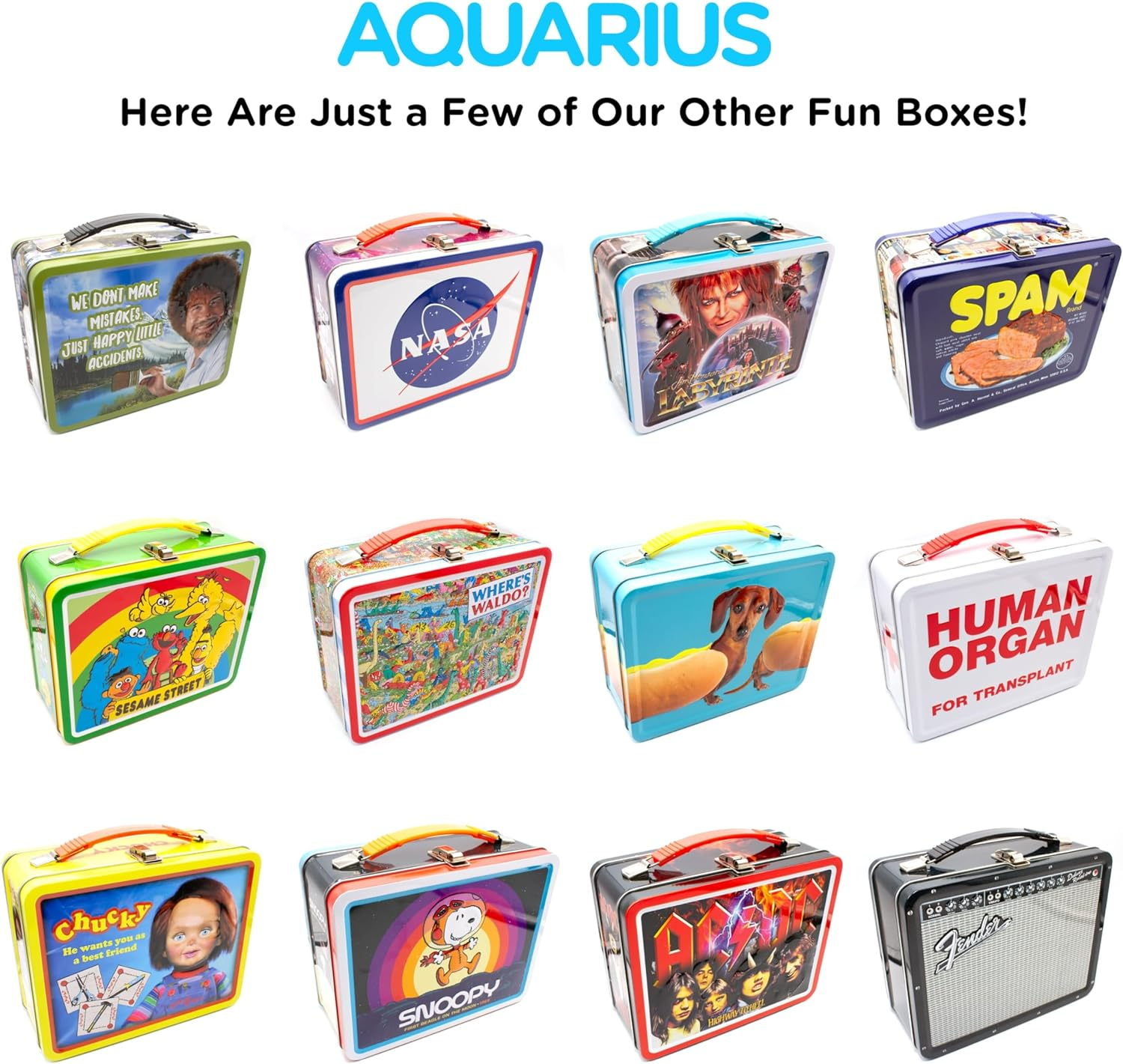 AQUARIUS 48201 Labyrinth Large Gen 2 Fun Box, 8"