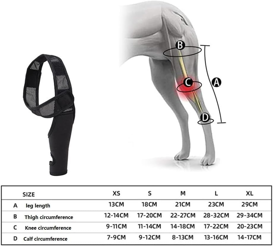 Dog Knee Brace for Torn ACL Hind Leg, Dog Leg Support Brace Breathable Dog Back Leg or Rear Leg Protector, Dog Leg Brace for Better Recovery Dog ACL Brace Hind Leg Adjustable (Black, XL) image number 1