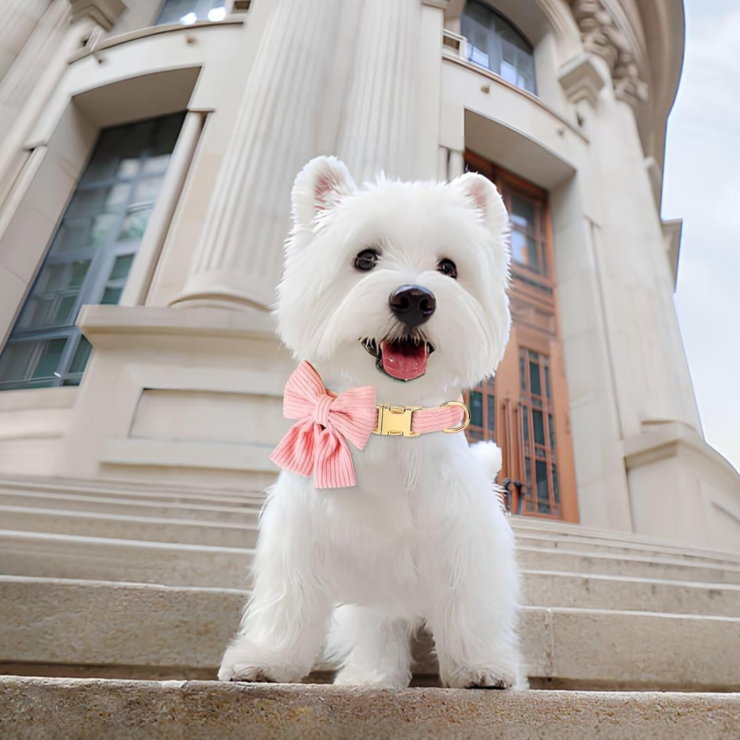 Dog Collar with Bowtie, Adjustable Cute Dog Collar for Wedding and Holiday, Soft Dog Collar for Small Dogs (Pink, L) image number 5