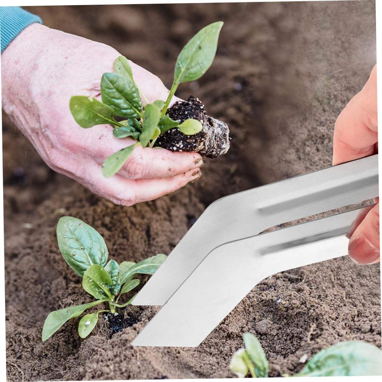 Kisangel 2Pcs Plants Transplanting Tongs Garden Supplies Small Metal Hand Tool Set for Seedling Transplanting and Plant Removal Gardening Accessory image number 3