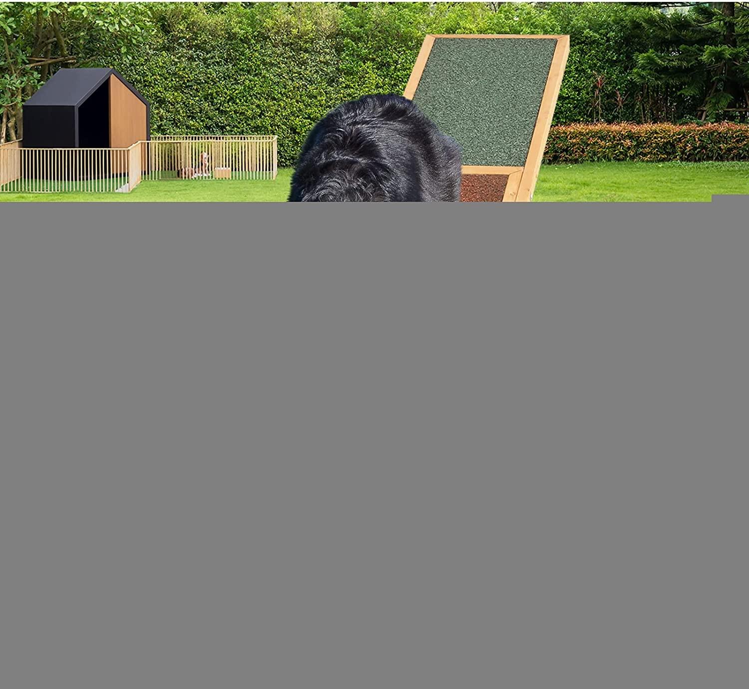 Dog Seesaw Pet Agility Training 180Cm Plank 70Kg Capacity image number 1