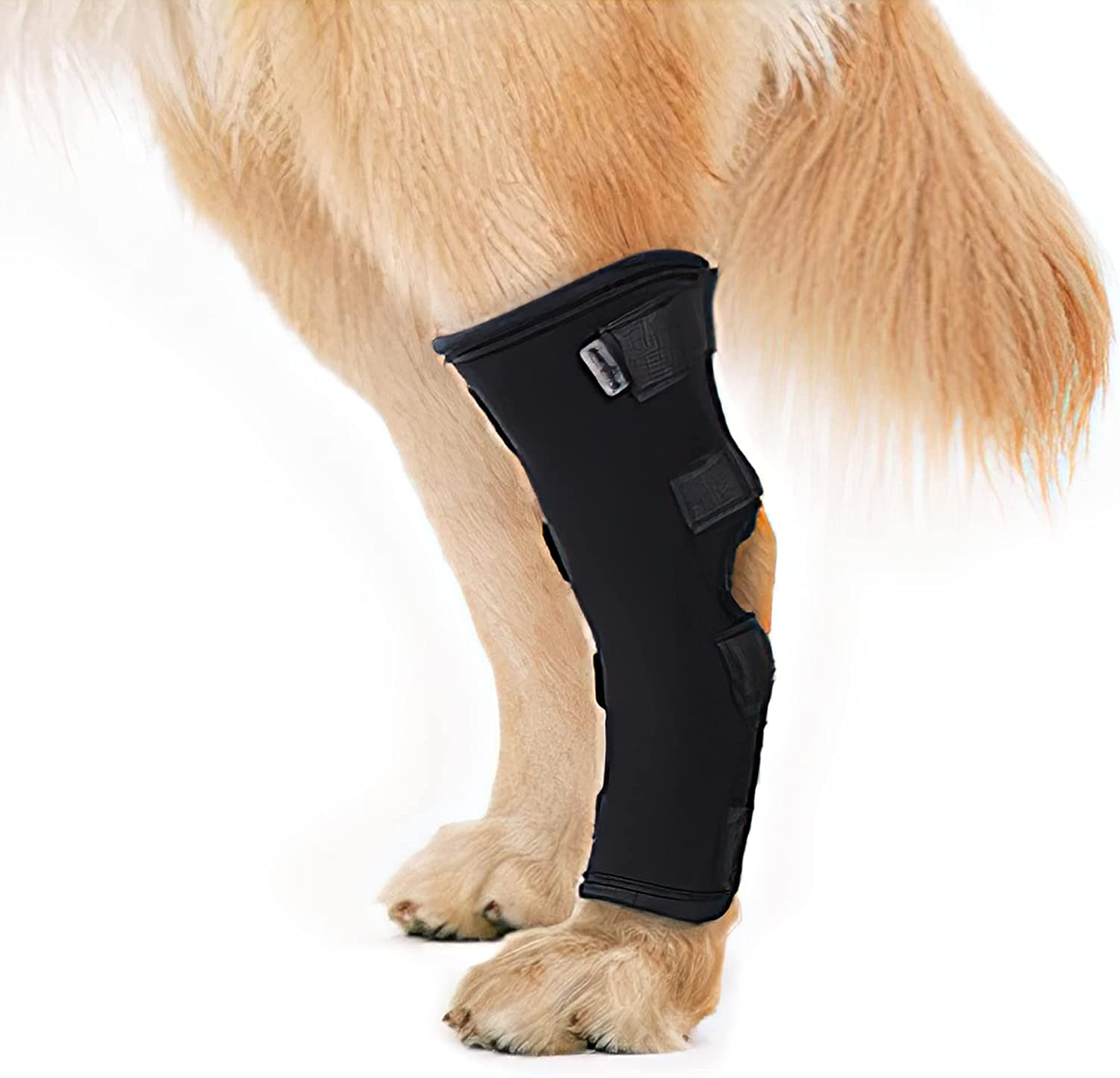 Rear Leg Brace for Small Dogs and Cats after Surgery Wear Hip and Thigh Wound Protective Sleeve (Long Leg Dog, X-Large) image number 1