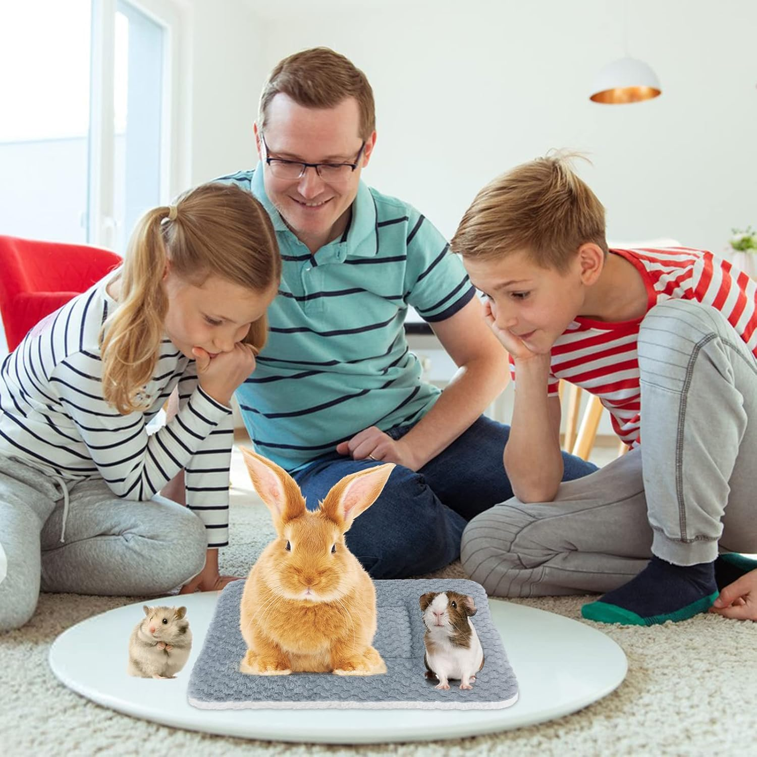 Small Animal Plush Bed Pack of 2 Warm Fluffy Puppy Blanket Fleece Rabbit Guinea Pig Cushion Bed Sleeping Mat for Puppy Dog Kitten Rabbit Chinchilla Squirrel Hamster 30 X 30 Cm image number 6