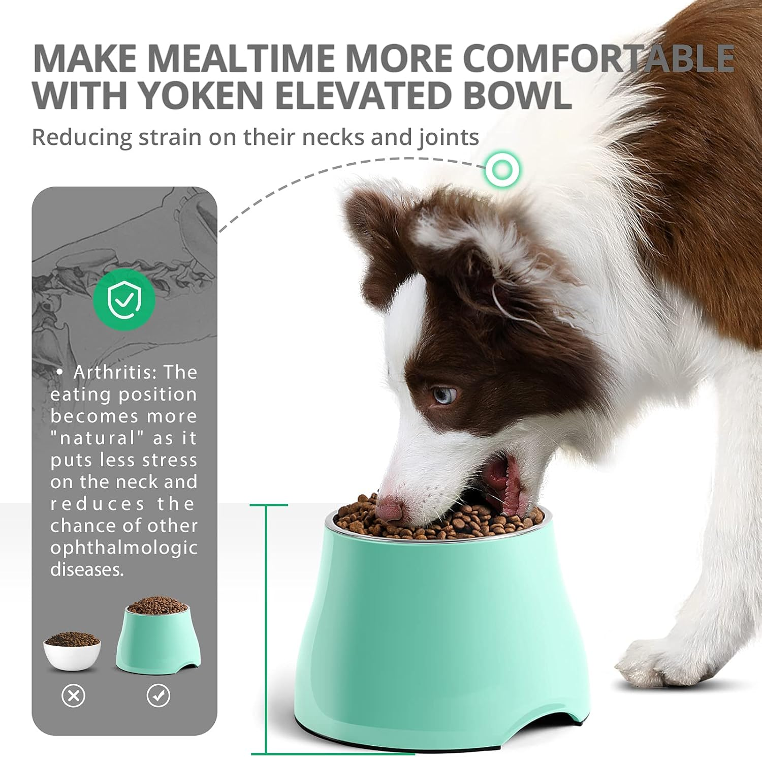Yoken Elevated Dog Bowls, [Prevention of Vertebrae Disease] [Super Non-Slip] Dog Bowl with Stainless Steel Bowl, High Capacity Dog Food Bowls, Colorful Raised Dog Bowls for Medium/Small Size Dogs image number 2