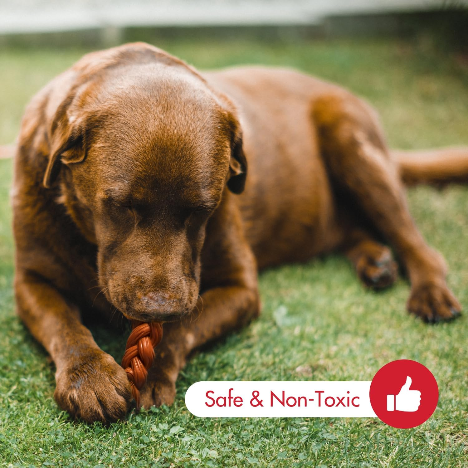 SPOT by Ethical Products - Bambone Braided Stick, Ring, Triple Chew Toy, Hickory and Bison Flavored Dog Toys Holiday Shopping for Bone Gifts for Aggressive Chewers Small (3Pack) Brown image number 3