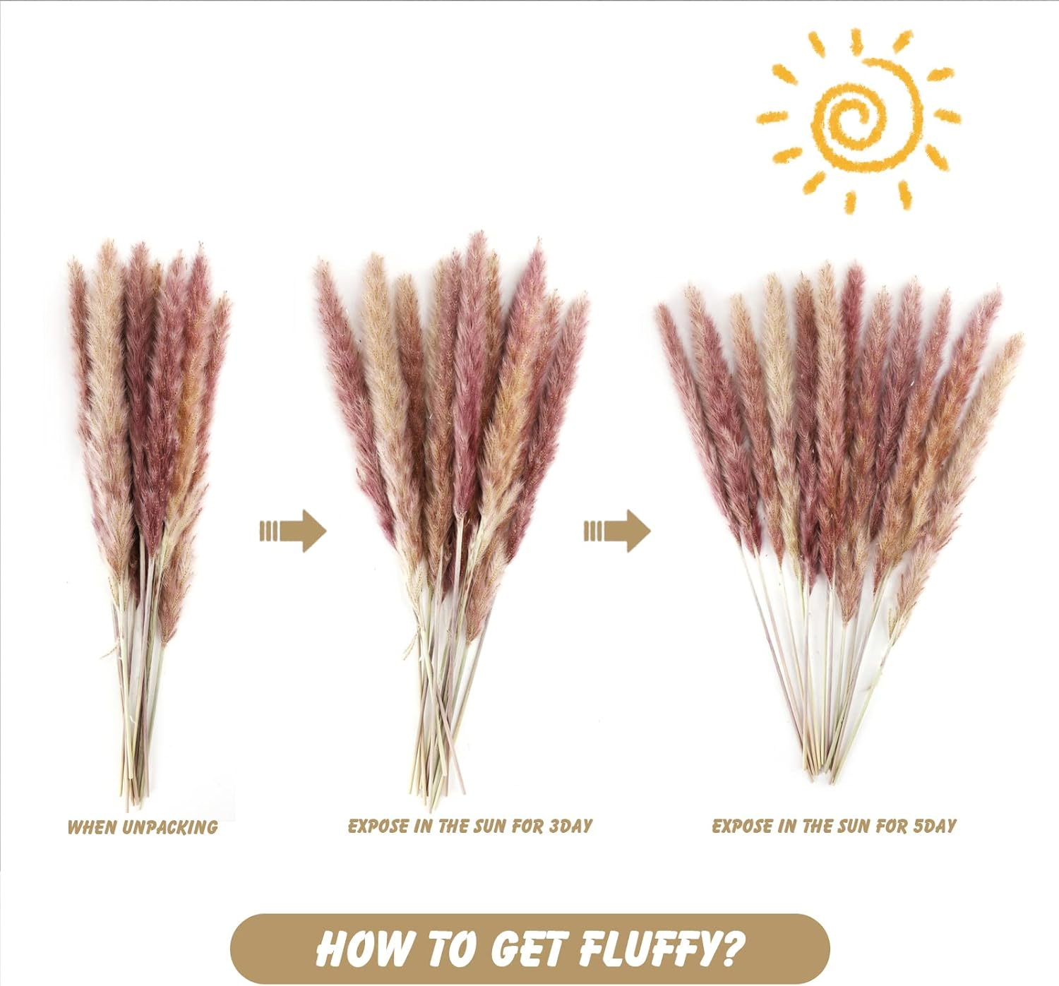 90Pcs Natural Pampas Grass Natural Dried Flowers Bouquet Fluffy Pampas Grass Decor with 5 Different Flower Variants Ideal for Vases Decoration Boho Room Decor Wedding Decor image number 2