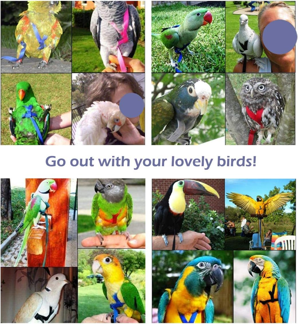 CIEOVO Bird Harness, Adjustable Parrot Nylon Leash with Anti-Bite Design for Outdoor Activities Training, Suitable for Eastern Bluebonnet Parrot, Cockatoo, Parakeet, Doves 6.2Ft (S) image number 2