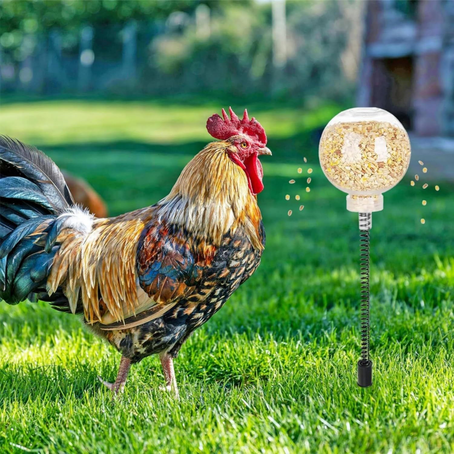 2-Pack Chicken Pecking Slow Feeder Balls &ndash; Durable Enrichment Toys for Hens, Ducks & Poultry (Metal/Pet) image number 6