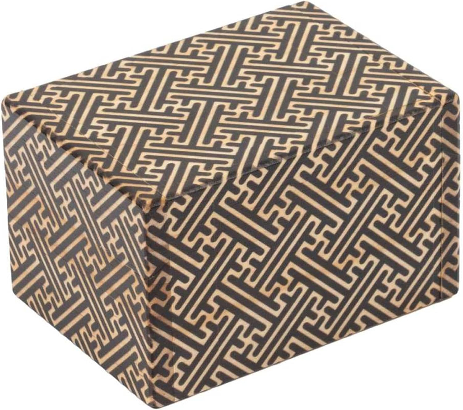 Professor Puzzle Lost & Found Japanese Puzzle Box image number 1