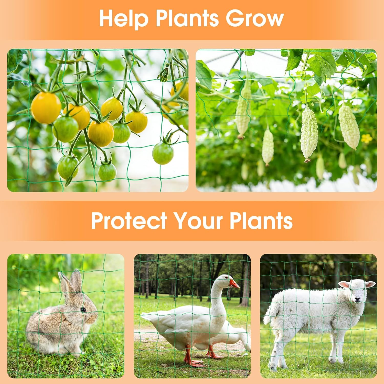 Trellis Net Cucumbers 5 X 1.8 M, Trellis Cucumbers with 50 Cable Ties, Climbing Plants, Tomatoes, Flowers and Other Vegetable Plants image number 2