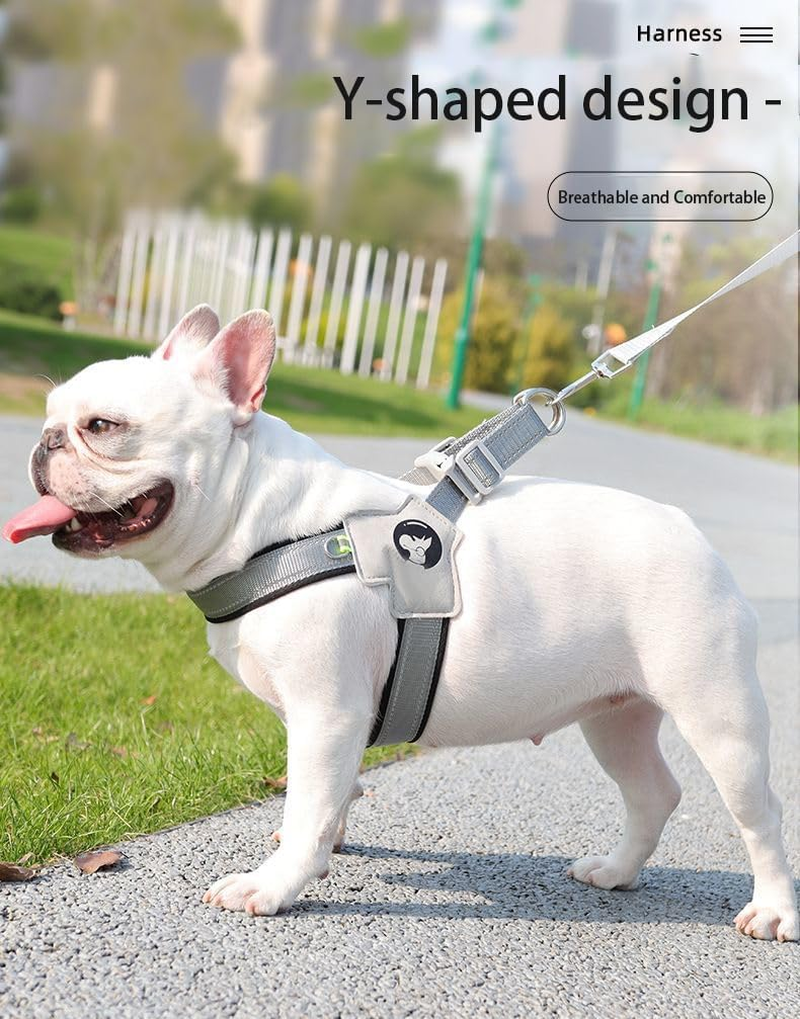 Glow-In-The-Dark Small Dog Harness and Leash Set, Reflective Nylon and Terylene Adjustable Lead for Night Safety