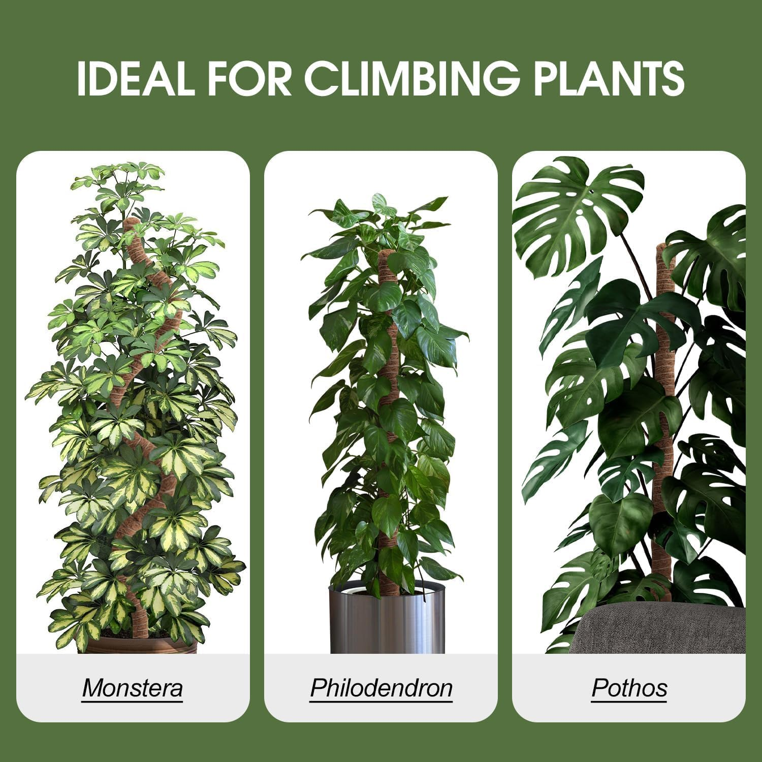 2 Pack Moss Pole, 48 Inch/120Cm Bendable Moss Pole for Plants Monstera, Moss Poles for Climbing Plants, Handmade Coco Coir Pole Plant Sticks Support Plant Stakes for Indoor Plants to Grow Upwards image number 1