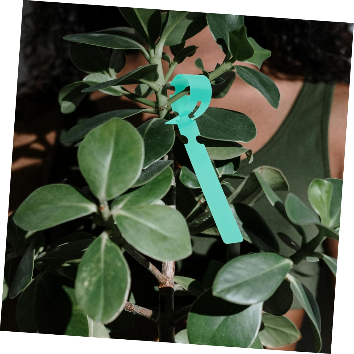 100Pcs Large Plant Tags for Garden Plastic Tree Labels Weatherproof Greenery Stakes 2X20Cm Wrap around Hanging Tags Easy to Write and Clean