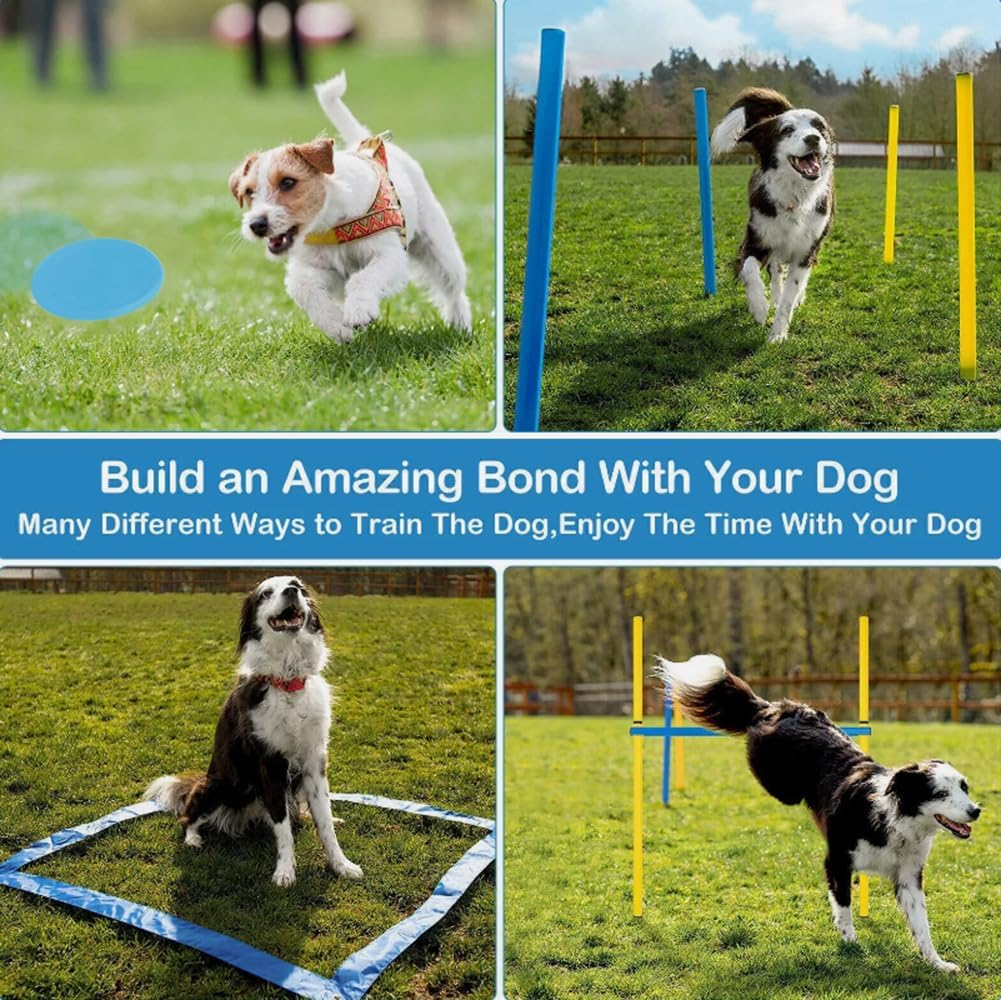 Dog Agility Training Equipment, Dog Obstacle Course Training Starter Kit Includes Tunnel, Weave Poles, Adjustable Hurdle, Jump Ring, Pause Box, Toys and Carrying Bag, Pet Outdoor Games image number 5