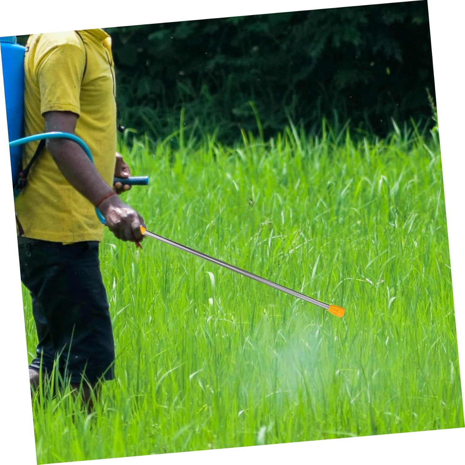 Telescopic Sprayer Pole for Garden Watering Stainless Steel Extendable Wand 20 Leak-Proof Washers and 4 Small Heads Suitable for Fruit Trees and Lawn Irrigation