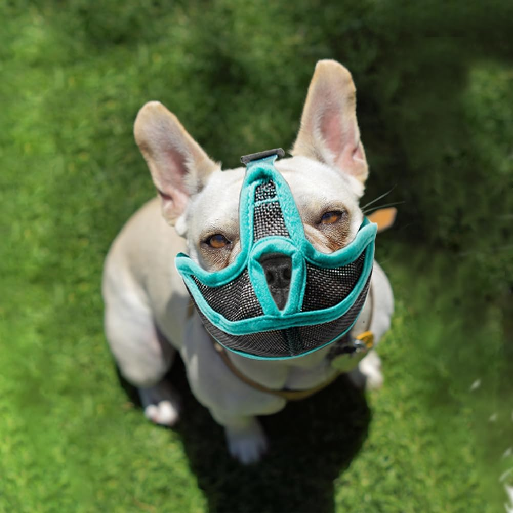 Short Snout Dog Muzzle, French Bulldog Adjustable Straps Full Breathable Mouth Mesh Smoother Soft Edge anti Biting Chewing Barking Grooming Mask Flat Faced Tongue Out Design Pet Supplies(S) image number 6