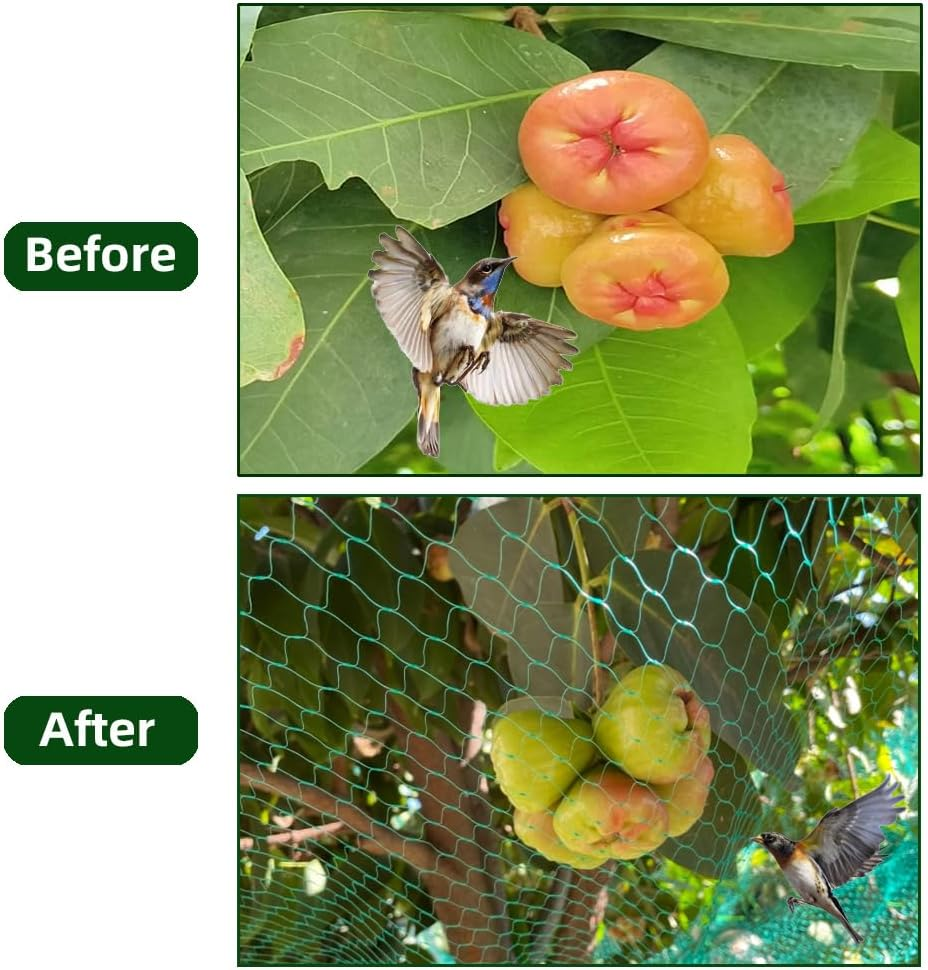 Skycabin Bird Netting 4Mx10M Green Garden anti Bird Net for Protecting Vegetable Plants Seedlings and Fruit Trees from Bird Pigeon Squirrel Deer and Other Animals Reusable Fence image number 2