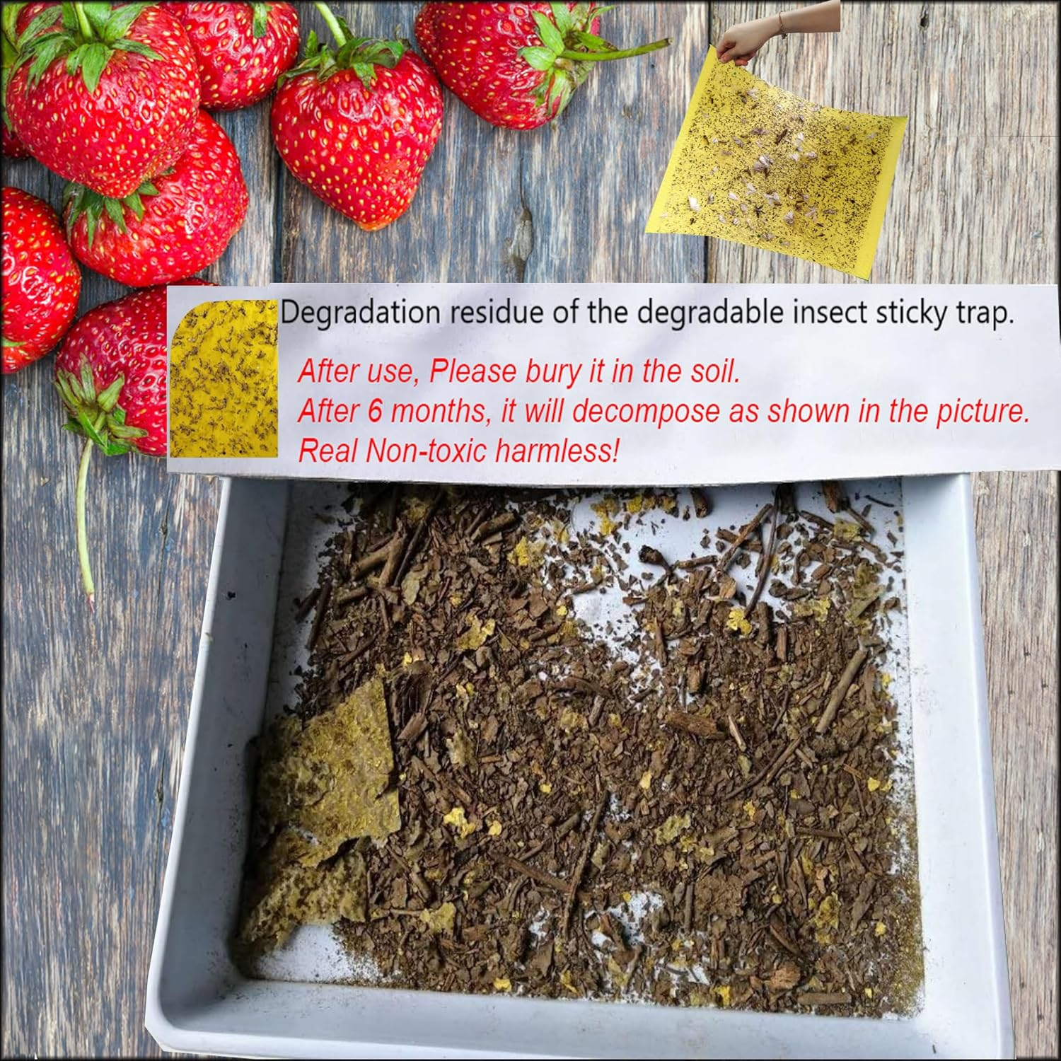 20-Pcs (25 * 20Cm) Fruit Insect Fly Traps, Increase Fertilizer, Insect Sticky Trap for In/Outdoor, Greenhouse Vegetables, Lawn, Garden, Farm, Home, Horticulture & Agriculture, Orchard Fields (Purple) image number 6