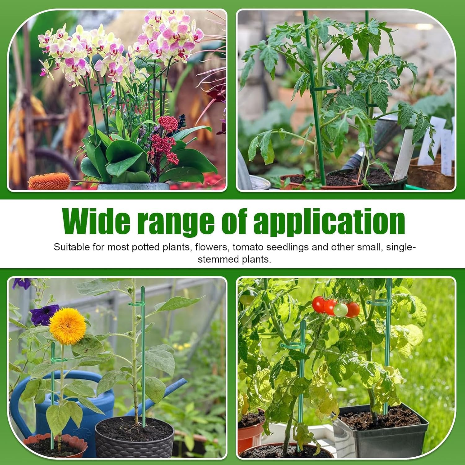 Plant Support Stakes, 10 Pcs 12Inch Adjustable Plant Support Sticks with Rings and Connectors, Garden Single Stem Plant Stake for Potted, Tomato, Rose, Vegetable image number 3