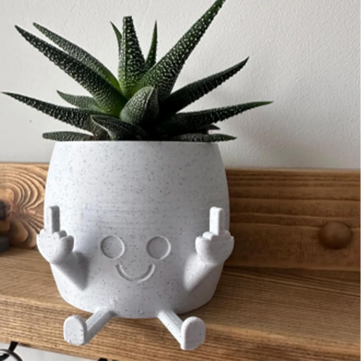 Smiling Plant Pot with Middle Fingers Up, Unique Cute Flower Pots for Succulents Middle Finger, Funny Expression Indoor Plant Pot for Plant Lover image number 1