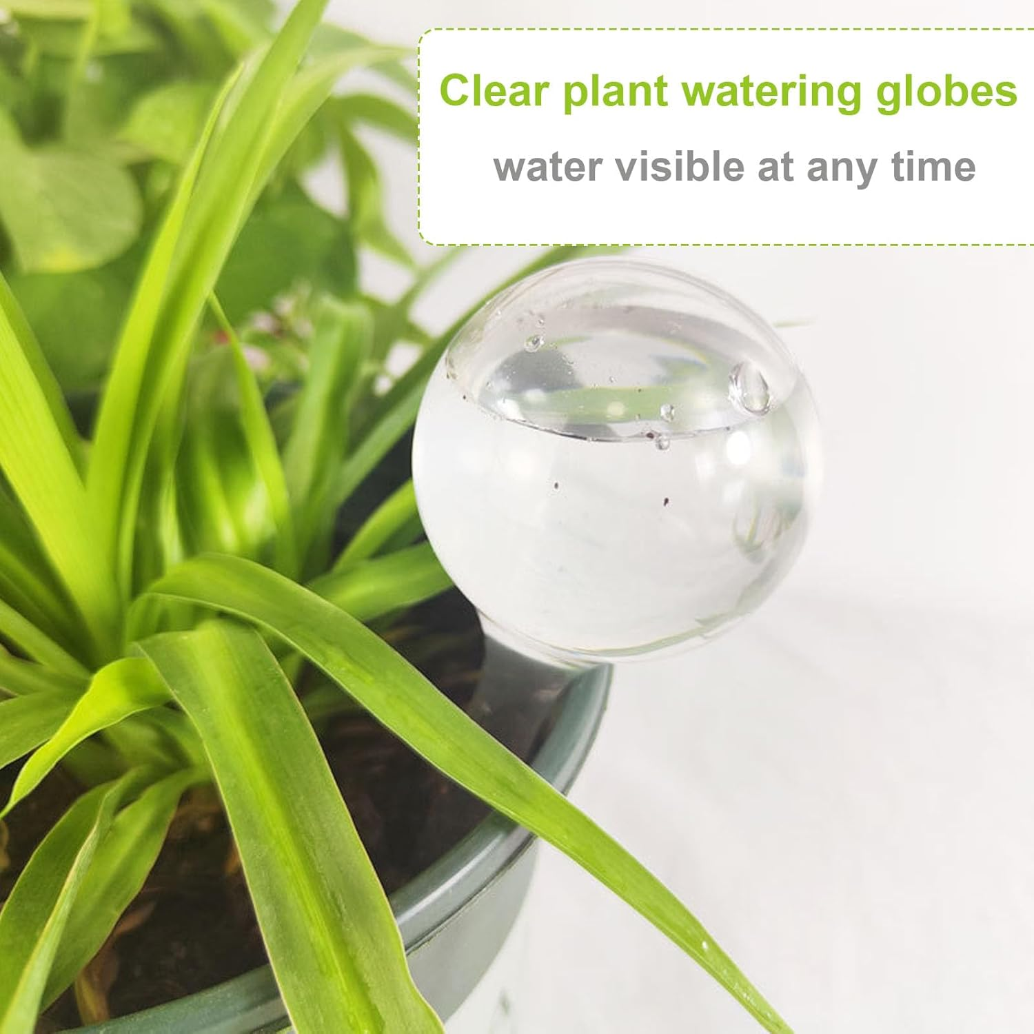 Plant Watering Bulbs for Indoor Plants 12 Pcs, Self Watering Globes Water Bulb for Indoor Outdoor Plant, Self Watering Planter Insert image number 5