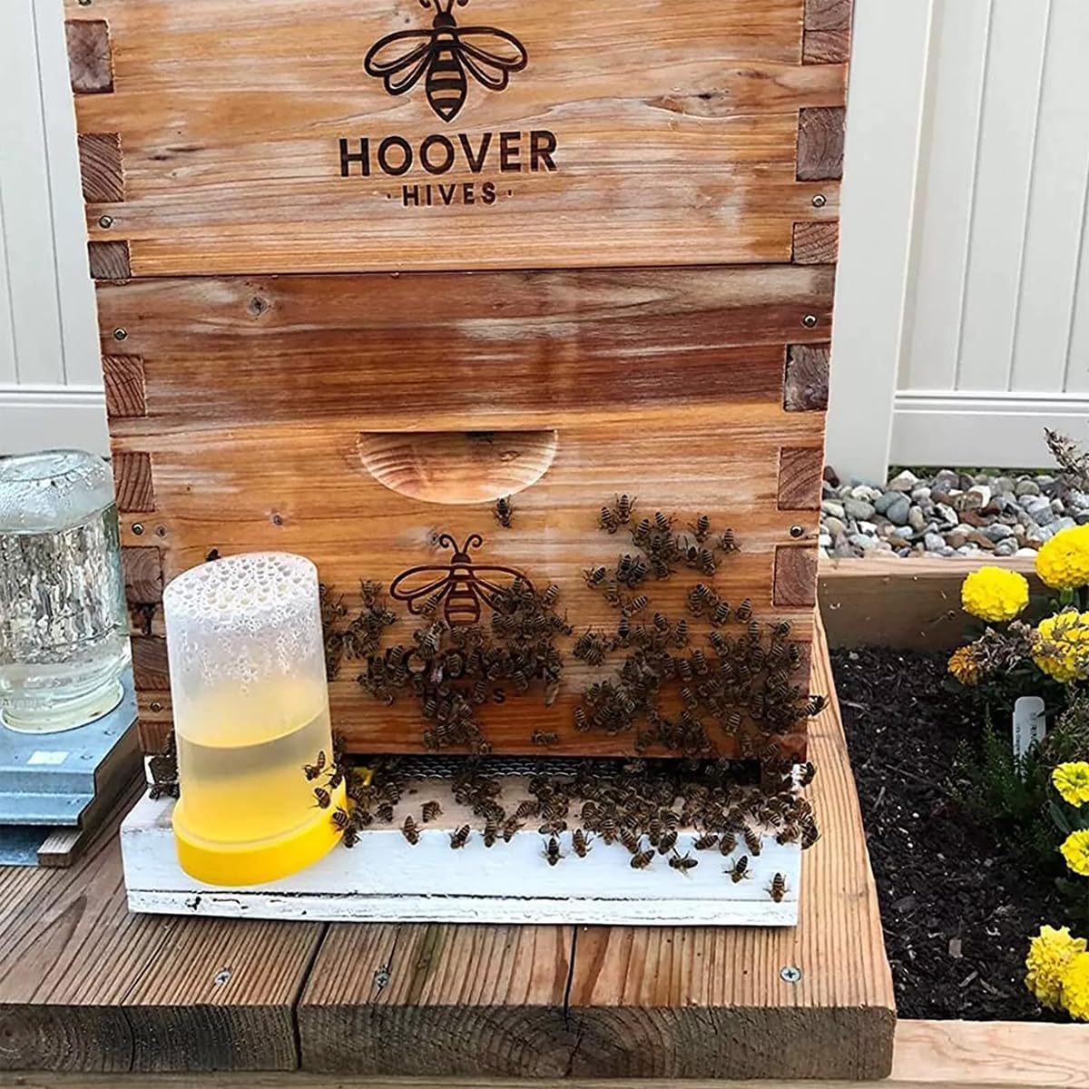 AIMALL 10PCS Bee Feeder Kit - High-Capacity Beekeeping Feeder with Sealed Design for Hive Entrance - Durable and Transparent Point Feeder - 2.75X5.12 Inches