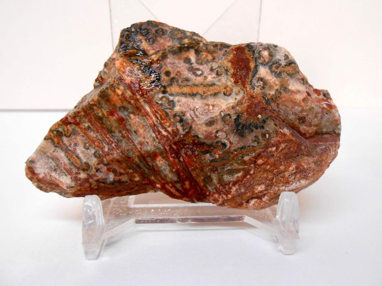 Rockhound'S 1St Choice Rock Tumbler Gem Refill Kit -Mexico Red Leopardskin Jasper Rough- 8Oz