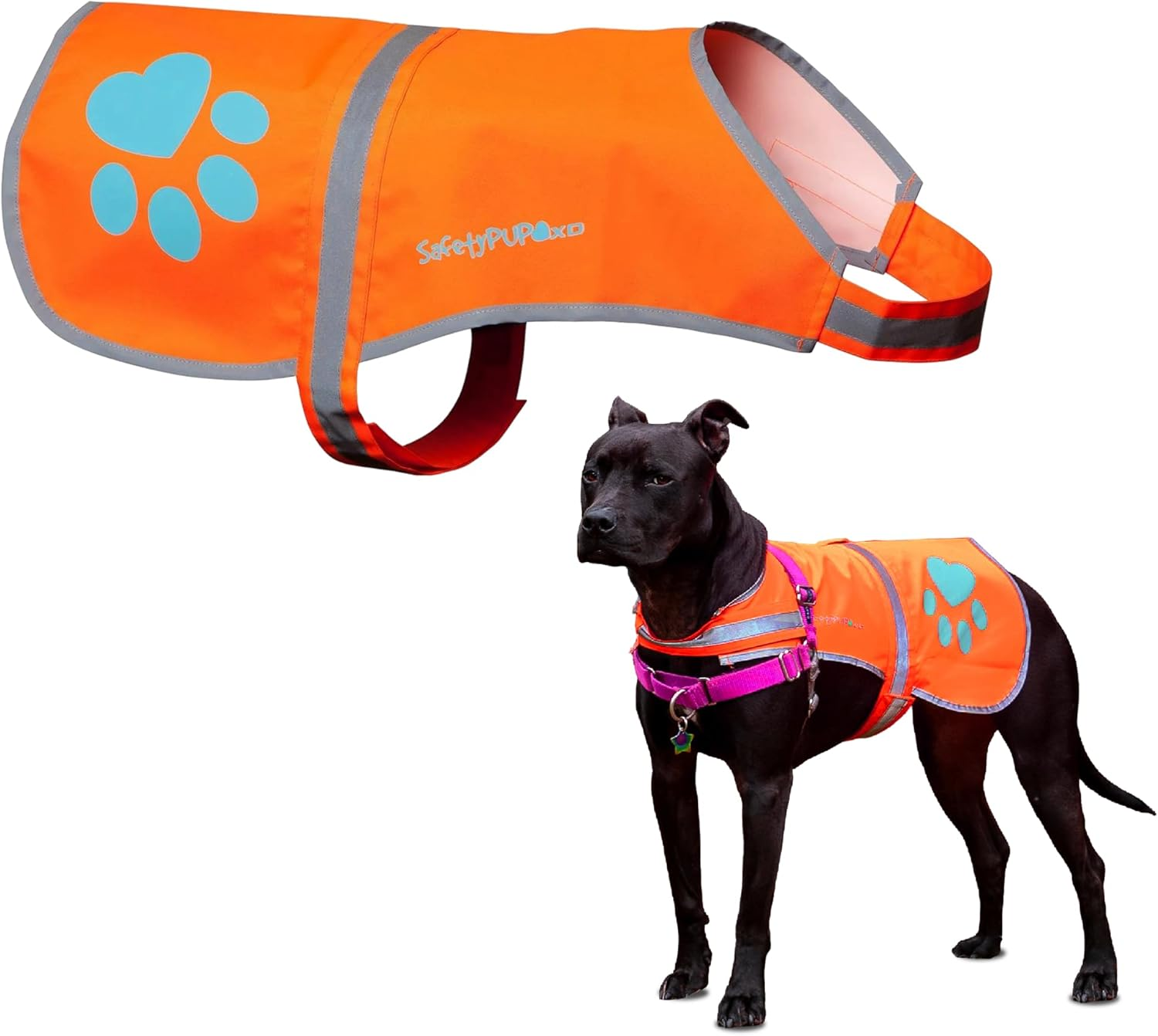 Safetypup XD Dog Reflective Vest. Sizes to Fit Dogs 14 Lbs to 130 Lbs. Blaze Orange Hi Vis Dog Vest Protects Dogs from Cars & Hunting Accidents. Medium Orange image number 2