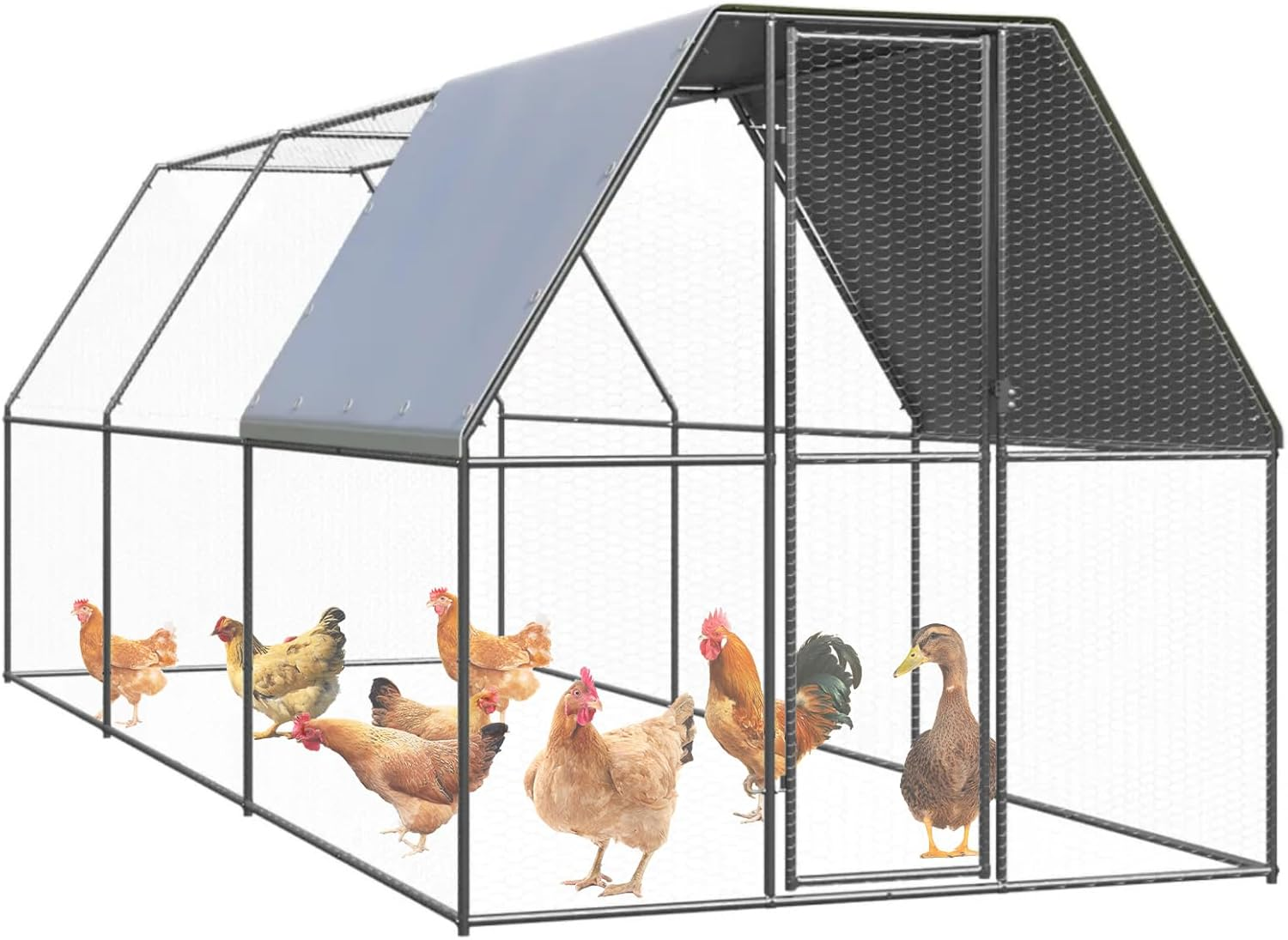 2X6X2M Large Chicken Coop Run, Chook Pen Walk in Chook Cage House Shelter Outdoor Chicken Cage Galvanised Steel image number 6