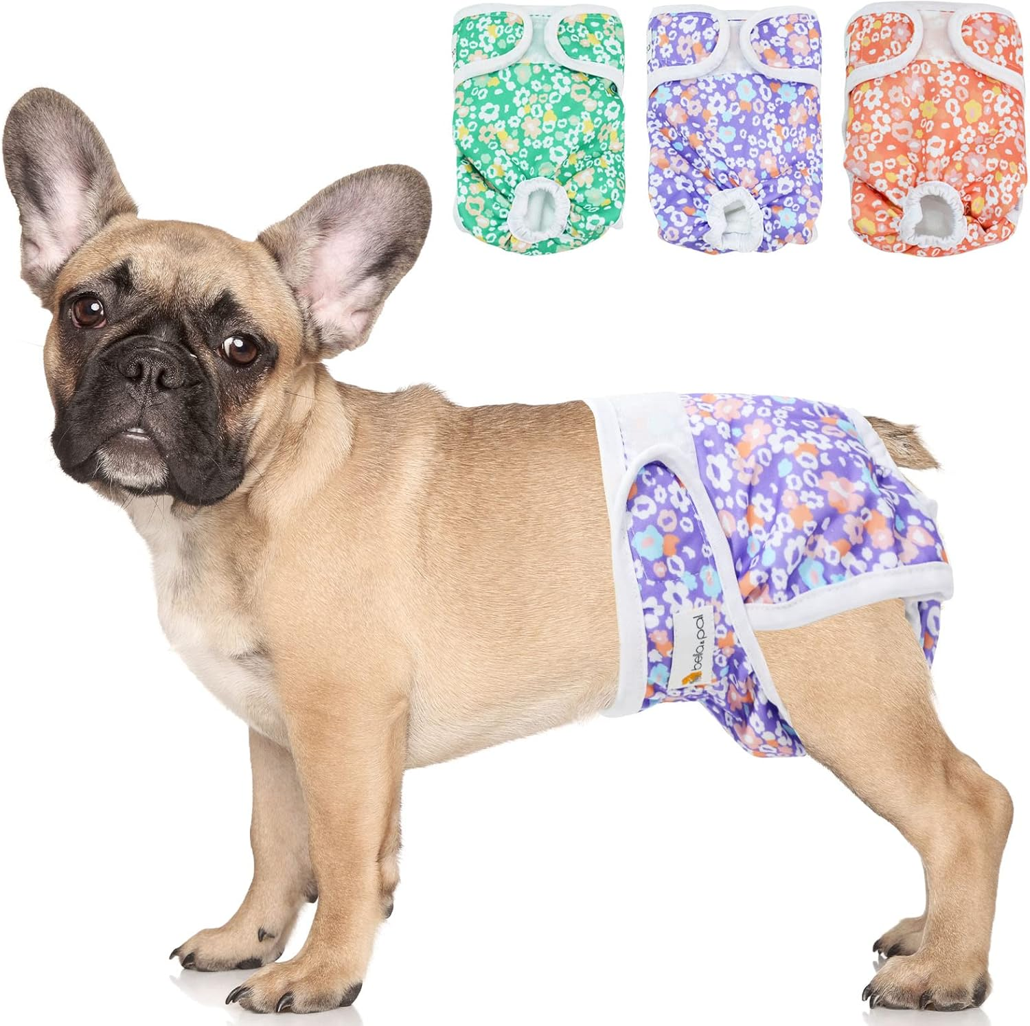 BELLA & PAL Washable Dog Diapers Female, 3 Pack Highly Absorbent Dog Diapers for Small Dogs, Leak-Proof Puppy Diapers for Female Dog in Heat, Period (XS (7-10" Waist), Pink& Purple& Green)