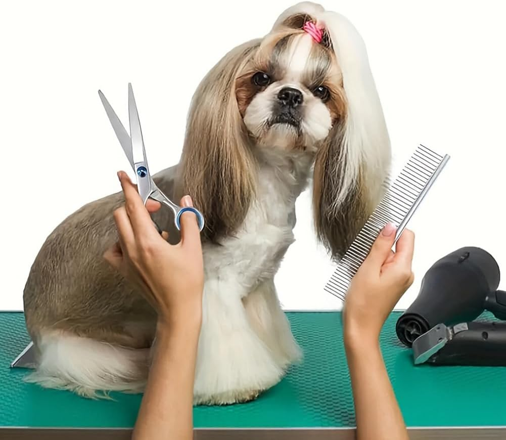 Dog Grooming Scissors Set with Safety round Tip, 3Pcs Dog Grooming Scissor and 1 Dog Grooming Comb, Pet Grooming Scissor for Dogs, Cats and Other Animals(Color:Blue+Silver) image number 4