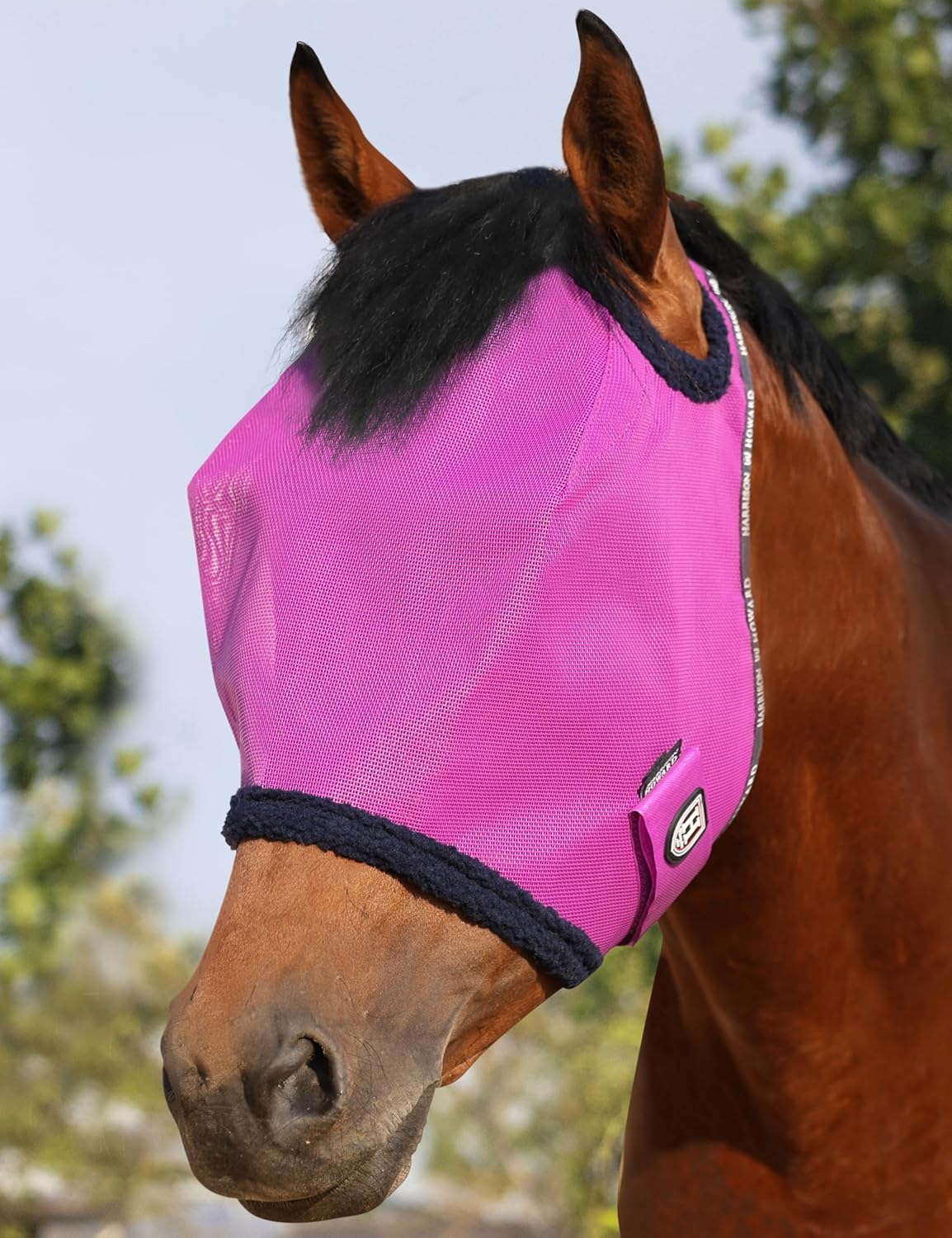Harrison Howard All round Mesh Horse Fly Mask UV Protective with Fleece Padded Edging Purple L image number 6