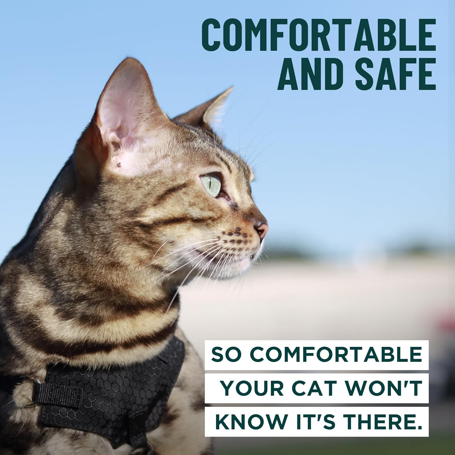 Houdini&trade; Large Cat Harness and Leash Set (Escape Resistant) by Outdoorbengal for Walking Big Cats (L) image number 3