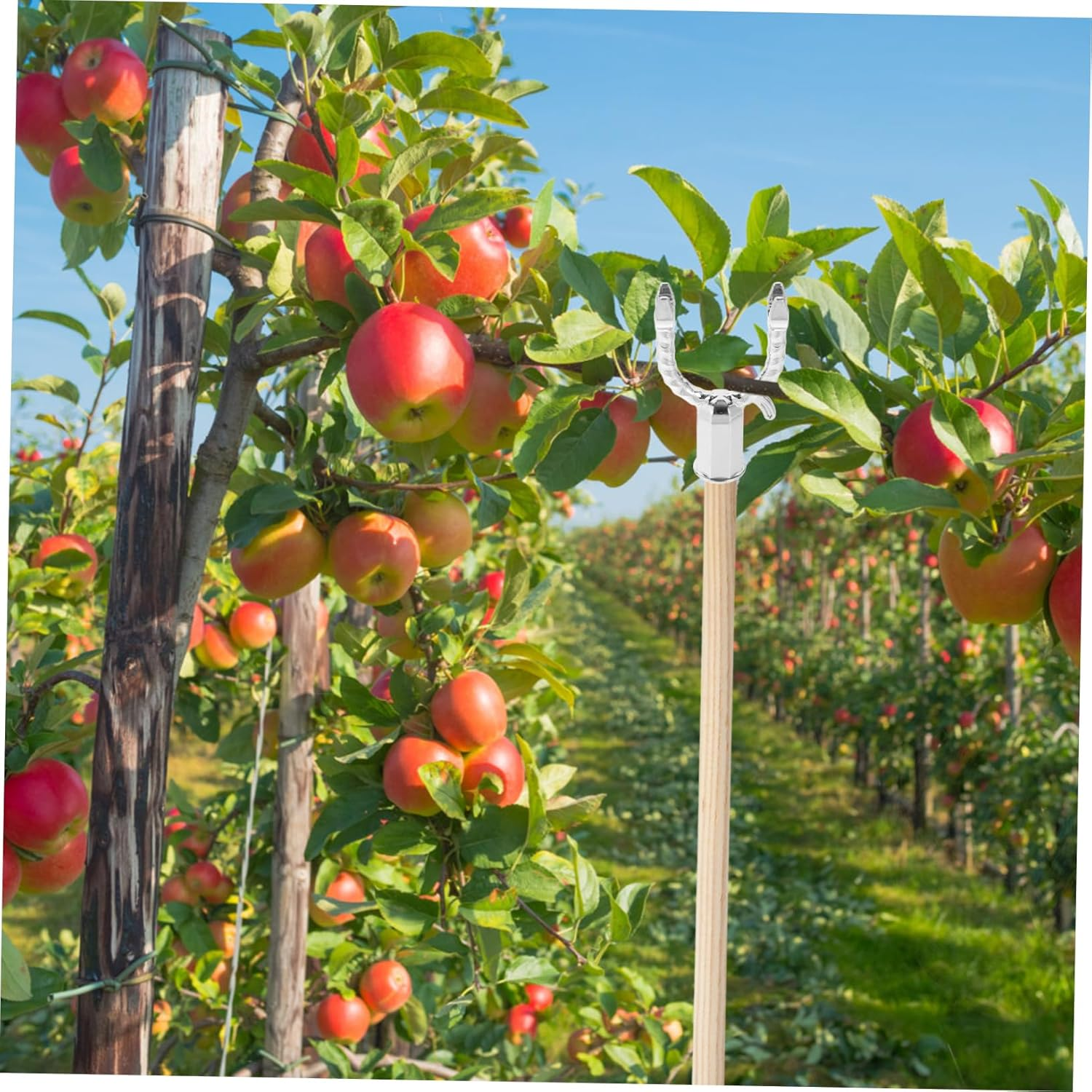 BESPORTBLE 5Pcs Fruit Tree Support Frame Aluminium Alloy Garden Plant Branch Support Tool for Fruited Tree Branches Straightening in Garden image number 4