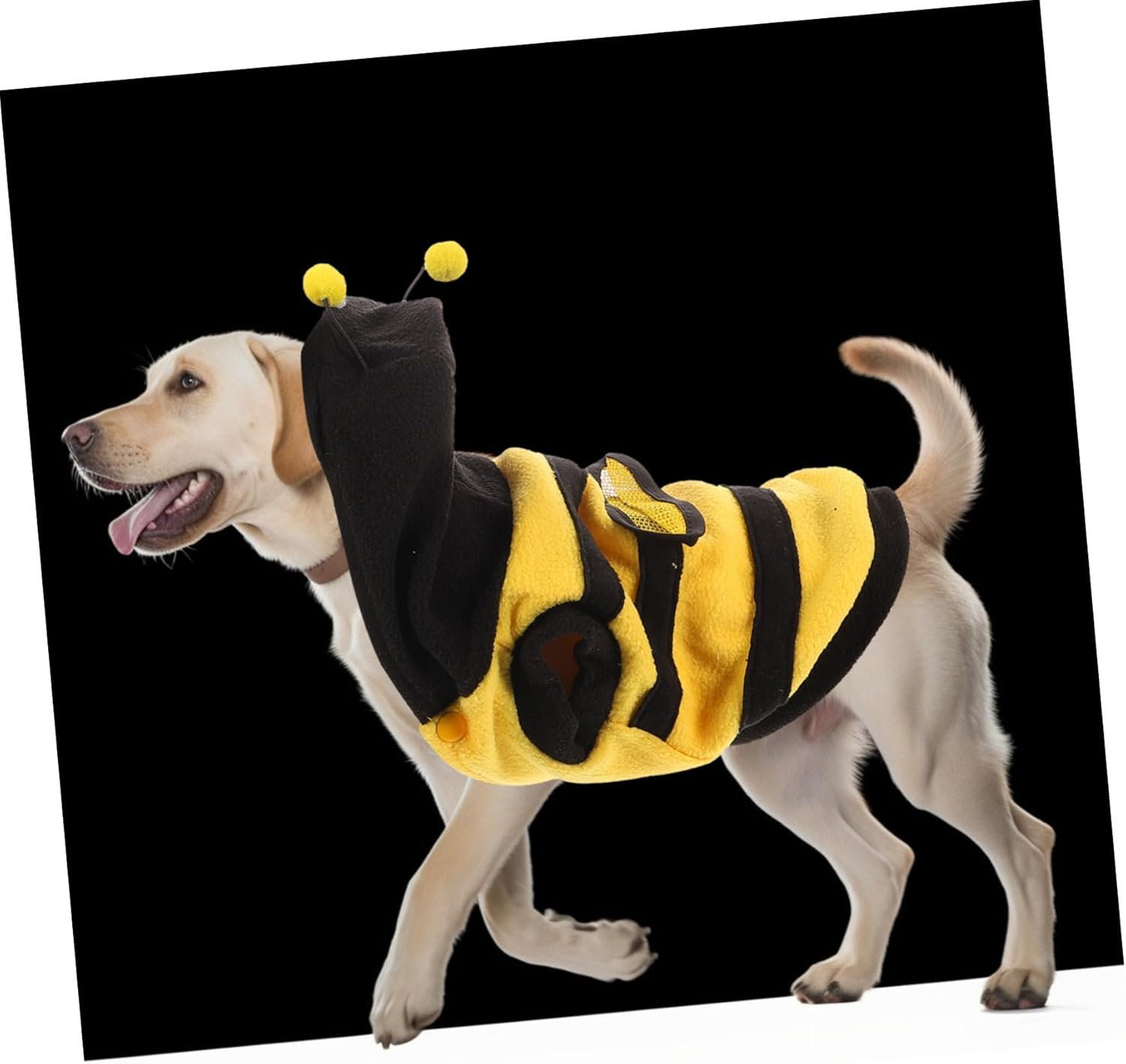 BESPORTBLE 2Pcs Pet Dress-Up Costume Dog One-Piece Clothes Bee Cosplay Four-Leg Pet Clothes for Puppy Xs Supplies Random Style image number 5