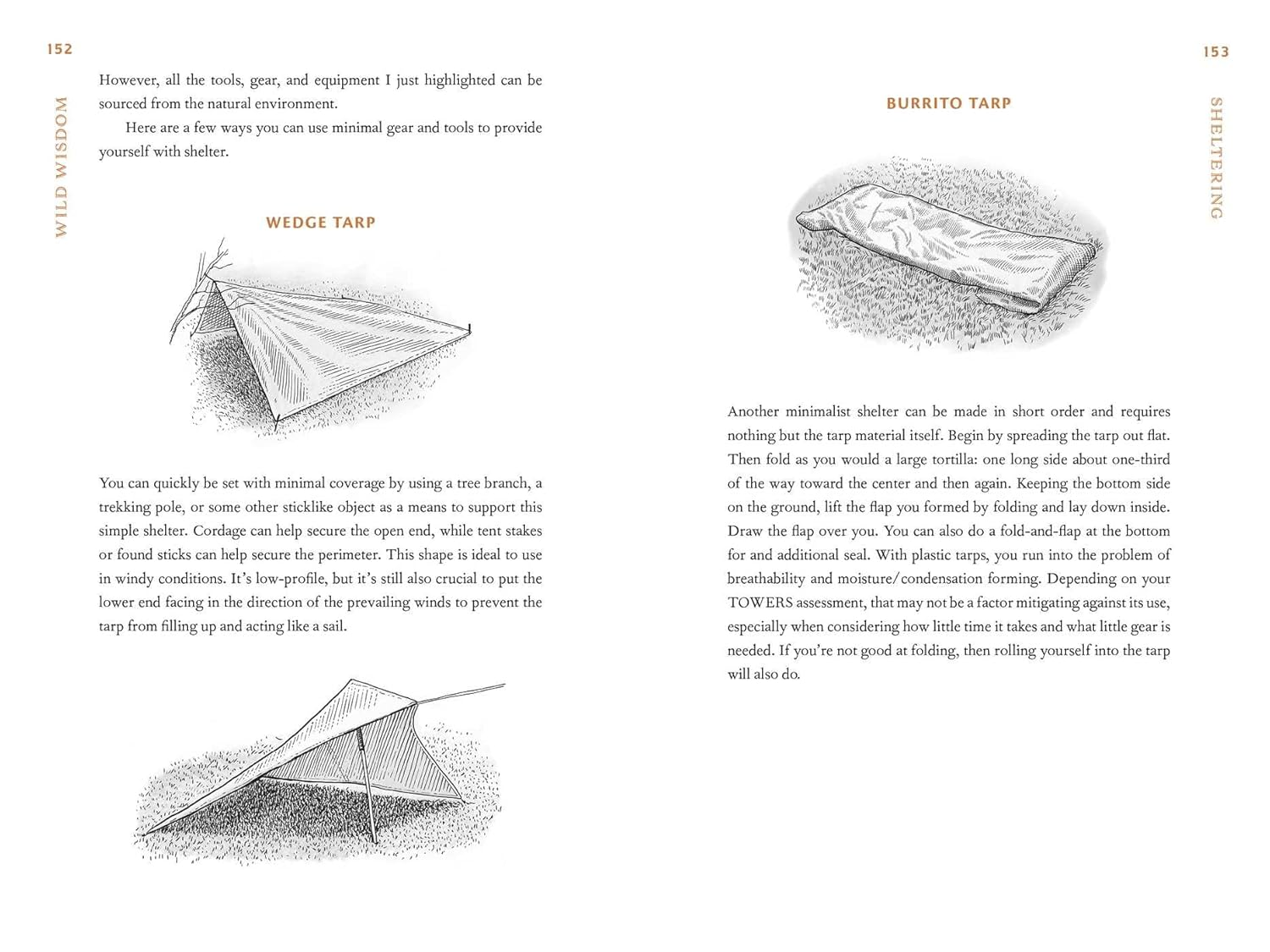 Wild Wisdom: Primal Skills to Survive in Nature image number 5