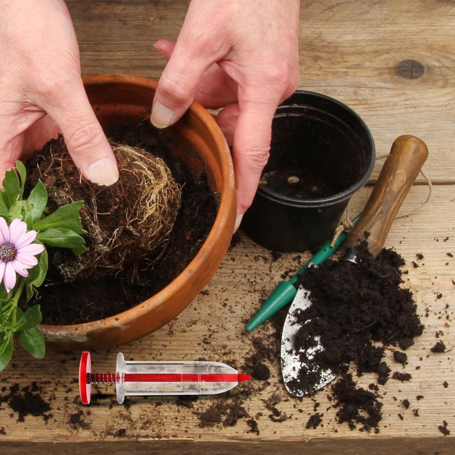 6Pcs Mini Seed Spreader, Manual Seedlings Dibber and Widger Set Handheld Garden Hand Seed Sower Planter Tool Small Sowing Seed Dispenser for Tiny Seeds Planting Vegetable, Flowers image number 5